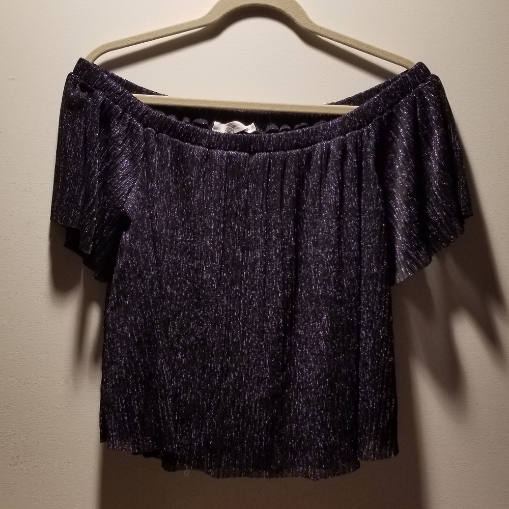🍁🌺🦋Lush off shoulder metallic short sleeved top